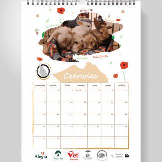 Kalendarz ścienny 2026