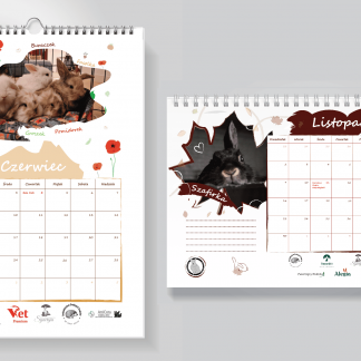 Zestaw kalendarzy 2026